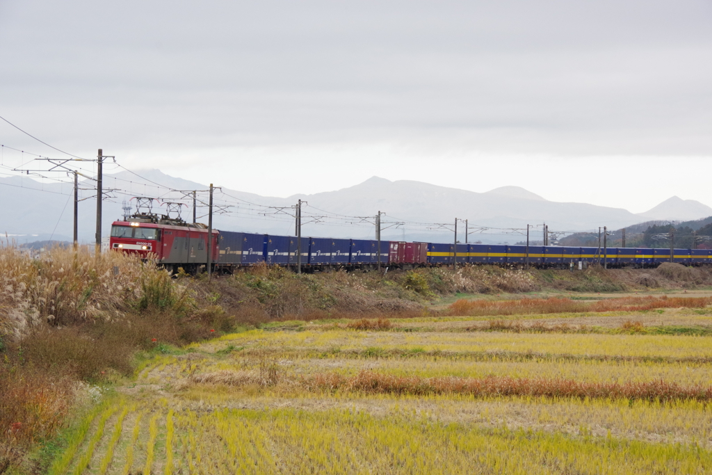 EH500貨物列車が走る