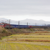EH500貨物列車が走る