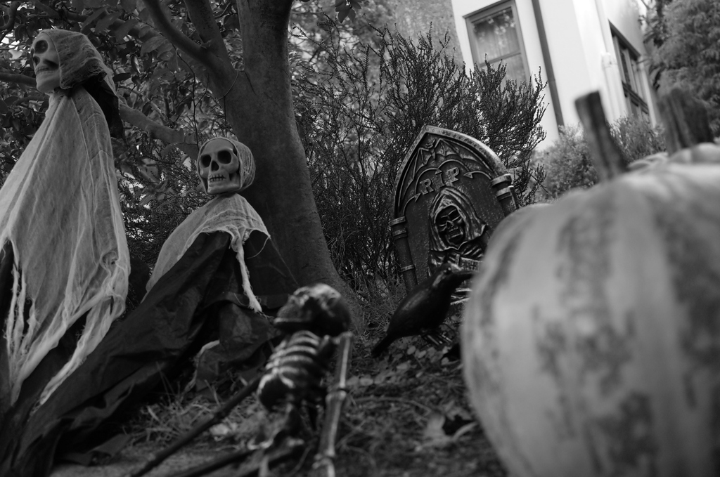 ハロウィンの季節