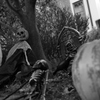 ハロウィンの季節
