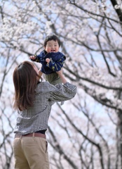 桜の下で