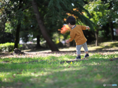 木漏れ日のなかで