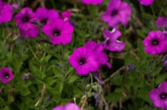 653CB74E-62E0-46BD-9912-56C9BFEBA3FA