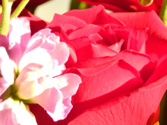 DSCN7366_00001