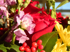 DSCN7381_00001