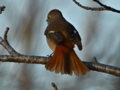 DSCN6545_007