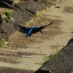 DSCN7307_00001