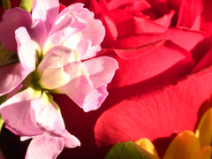 DSCN7368_00001