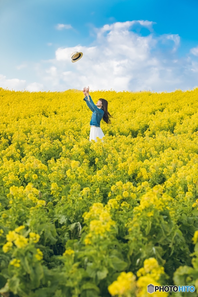 私の菜の花畑