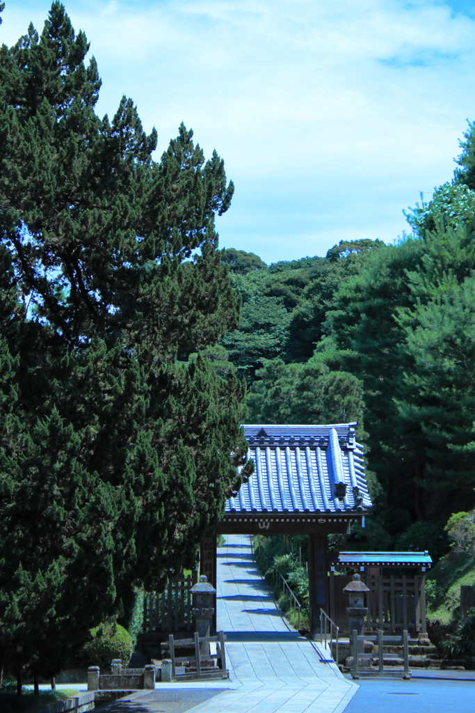 時を楽しむ