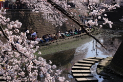 桜人