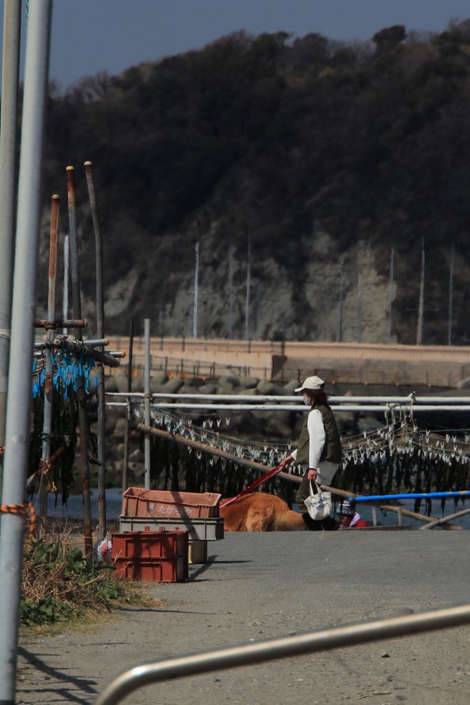 海岸散歩へ