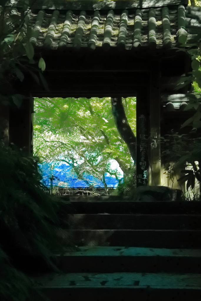 明と暗