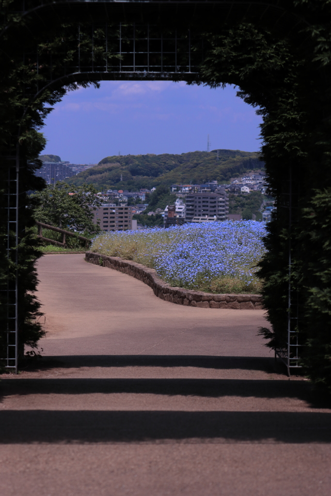 この先