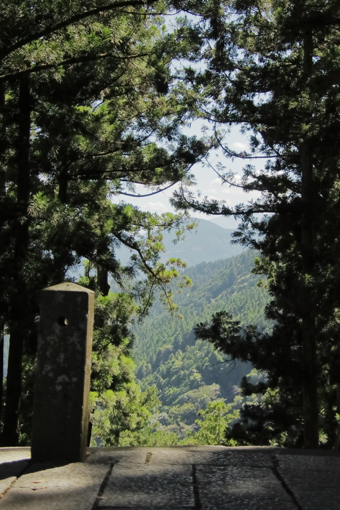 思えば・・・