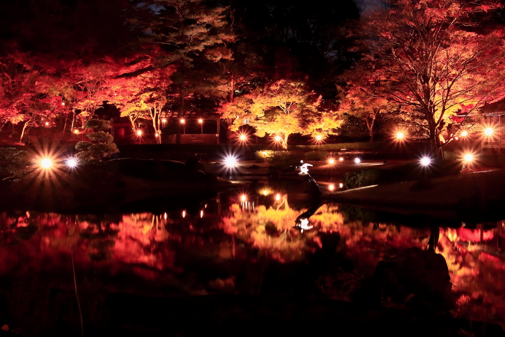 紅葉LIGHT UP (2)