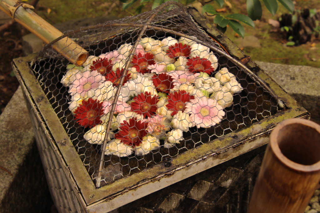 花手水