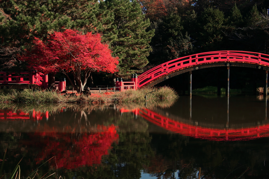 称名寺 紅葉 (1)