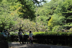 公園散策―緑の中には