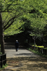 公園散策