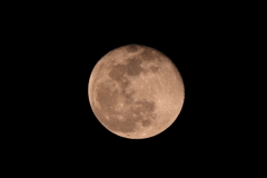 初めてのMoon