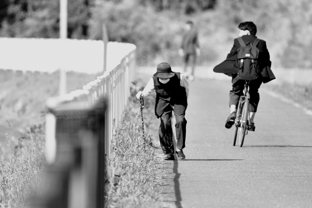 川沿の遊歩道