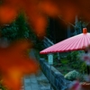 海蔵寺の紅葉