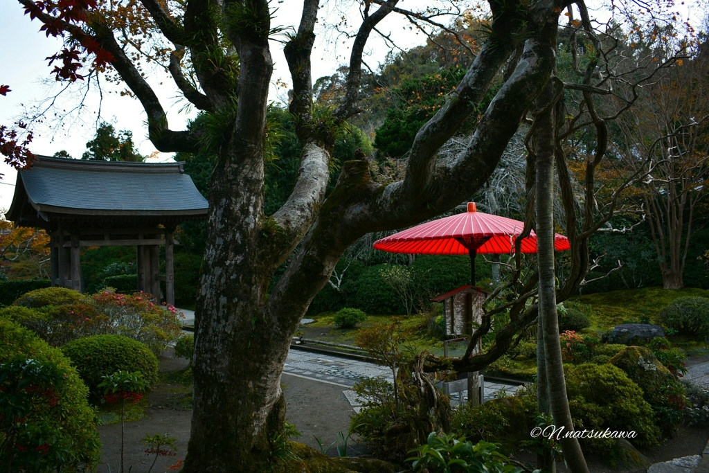 鎌倉の海蔵寺