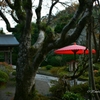 鎌倉の海蔵寺