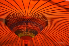 鎌倉宮の大和傘