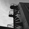 空に伸びる
