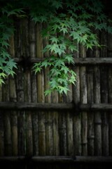 青紅葉と竹垣