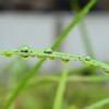 霧雨の日