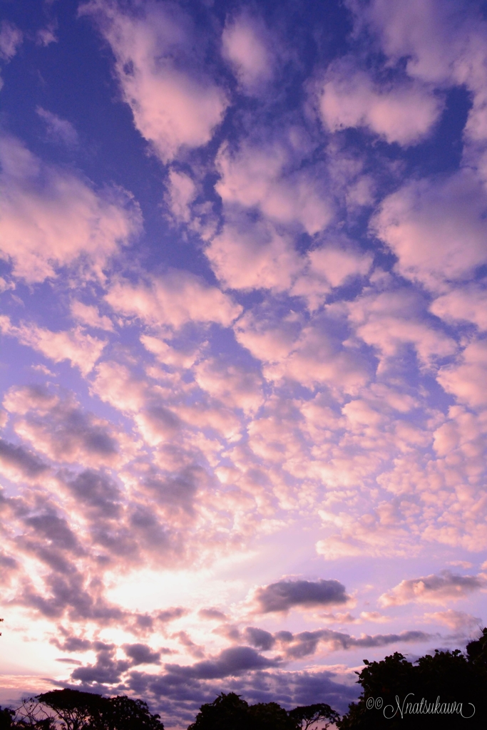秋の空