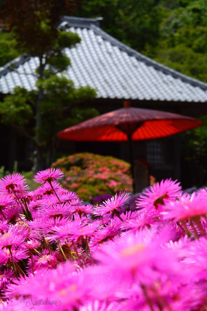 鎌倉　海蔵寺