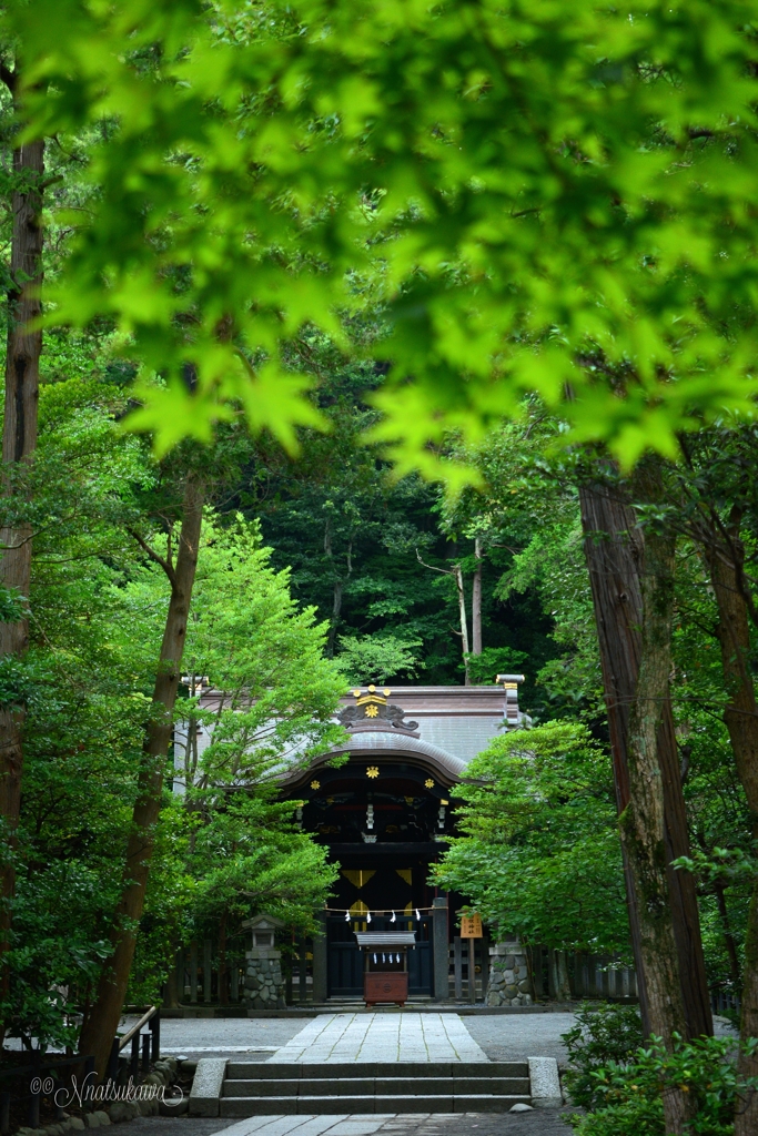 鶴岡八幡宮境内の白旗神社