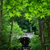 鶴岡八幡宮境内の白旗神社