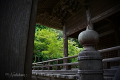 鎌倉妙本寺の青紅葉