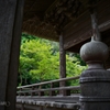 鎌倉妙本寺の青紅葉