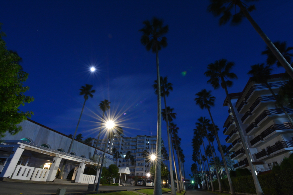 逗子マリーナの夜明け