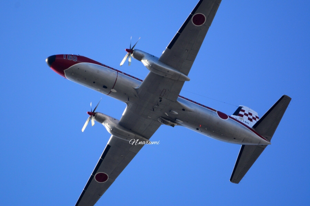 YS-11