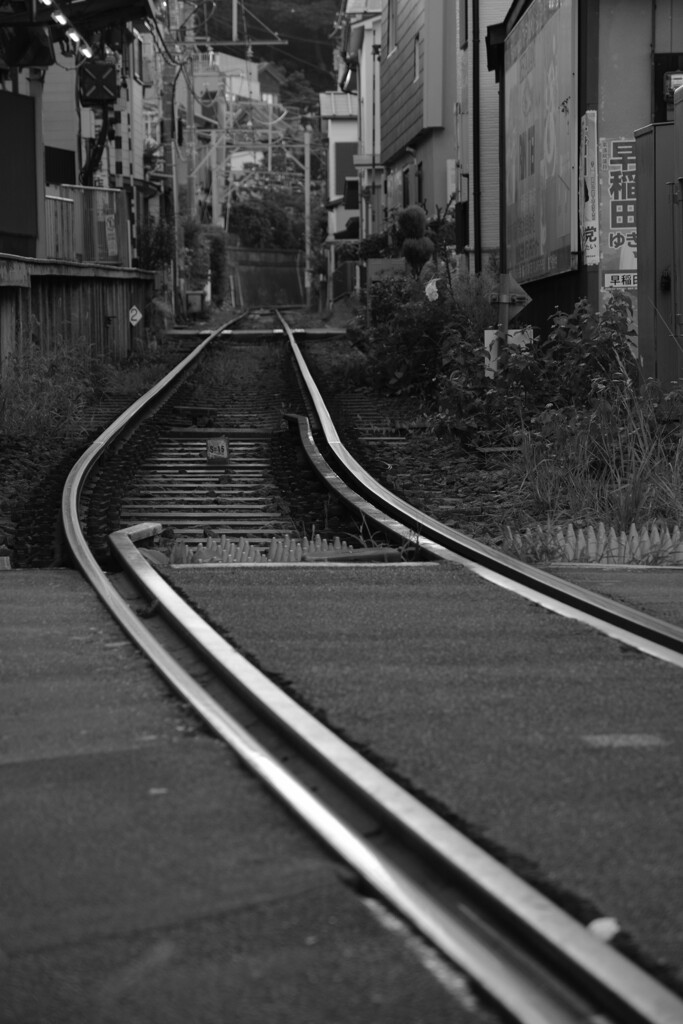 朝を迎えた江ノ電の線路