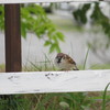 IMG_2972