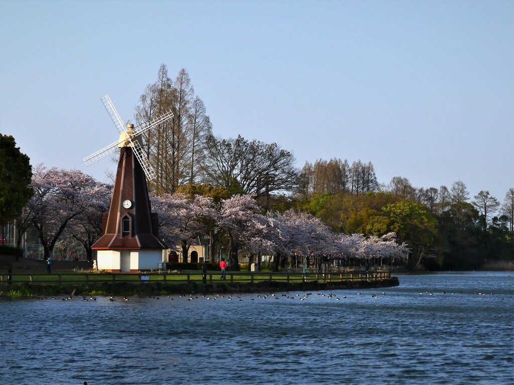 浮間公園