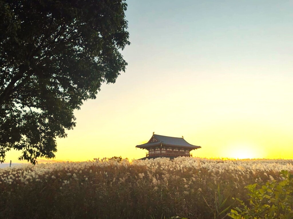 晩秋の大和路⑩　