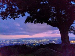 若草山からの夕景
