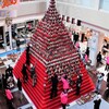 日本一高いピラミッドひな壇 (4)