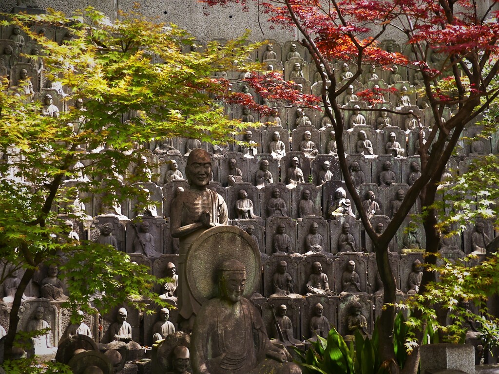 目黒大円寺 (2)