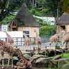 多摩動物公園敗者復活戦③
