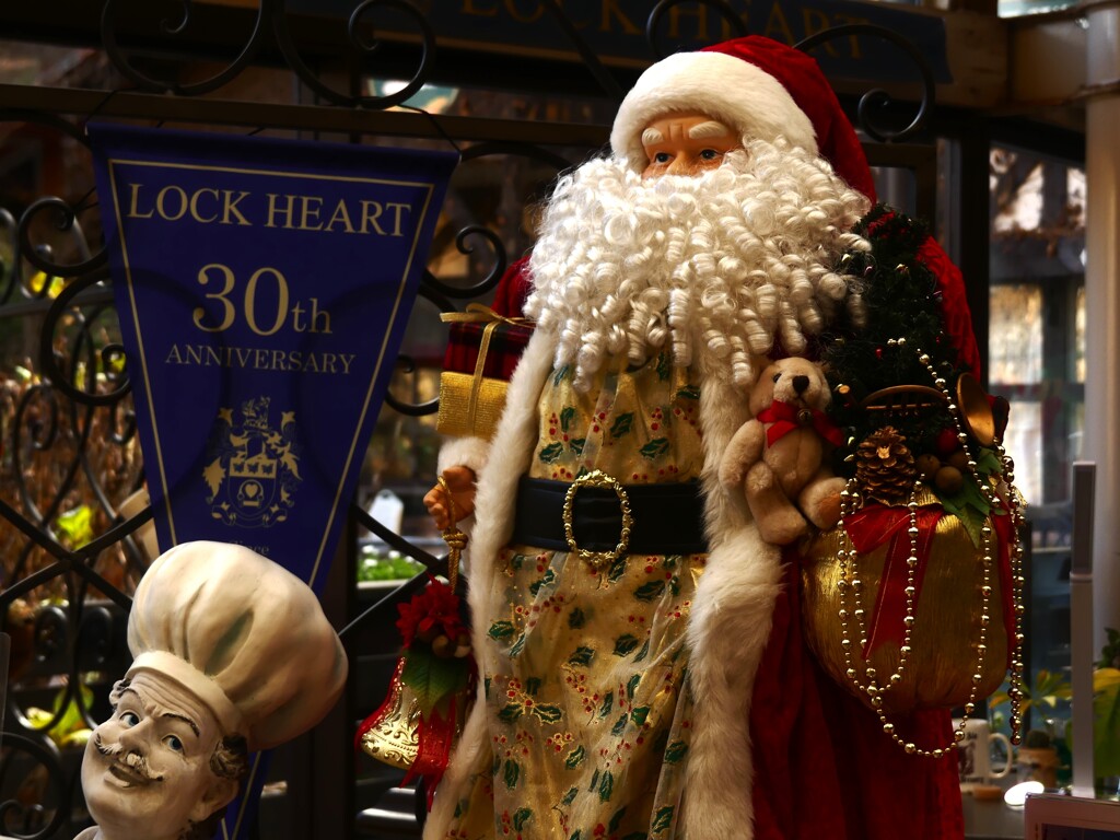 Merry Christmas ④